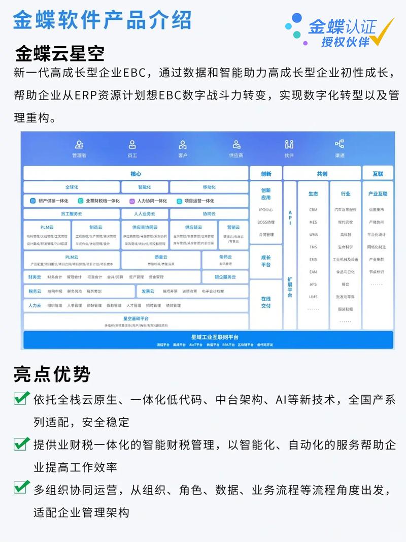 金蝶ERP实施：企业信息化建设的破冰之旅